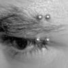 Eyebrow