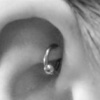 Rook