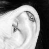 Rook, Orbital