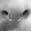 Septum