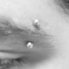 Eyebrow