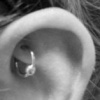 Rook
