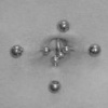 Belly Button
