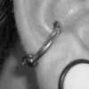 Conch