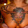 Deer Antlers