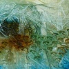 Migration Corridor 1