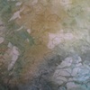 Less than 100 Toads (detail)