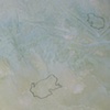 Less than 100 Toads (detail)