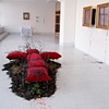 Bleeding Bibles - Equal Opportunity Offenders 
Triptych and Installation


