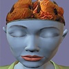 ZenHead