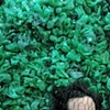 Planted