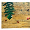 garden (sold)