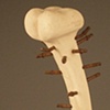 Jewlery Rack, 2007