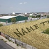 Toxic Love (crop circle name)