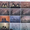 instep