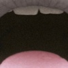 Tongue