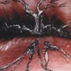 Eyetree