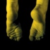 Appendages