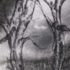 Brancheye