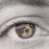 Seeing