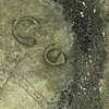 Ring 2