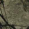 Surface