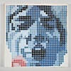 DISC PAINTINGS