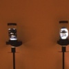 Genesis Tubes
