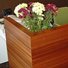 salon - mahogany, white lacquer
