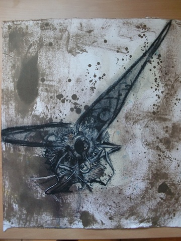 Moth