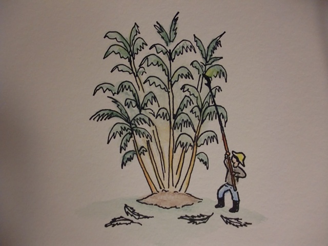 Hombre trabajando en Palmera