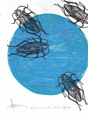 Jose Ortiz - Blanco Azul
