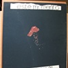 Folder - Wilfredo Chiesa