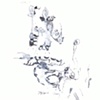 Barbara Diaz-Tapia - Untitled