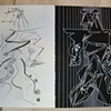 From the series Picasso dyptic