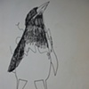 Pajaro