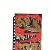 Folder - Julio Rosado Del Valle