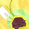 Frances Gallardo - Regalo