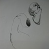 Boceto