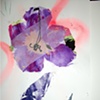 Flor