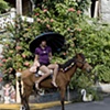 Dama a Caballo