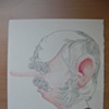 Roberto Marquez