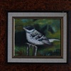 Pajaro Volando