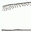 delfin