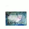 Folder - Giovanna Verni