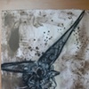 Moth