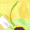 Folder - Frances Gallardo
