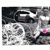 Sherrie Raimundi - Barbie