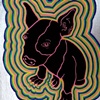perro