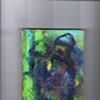 Carlos Santiago - Figuera con Fondo Verde